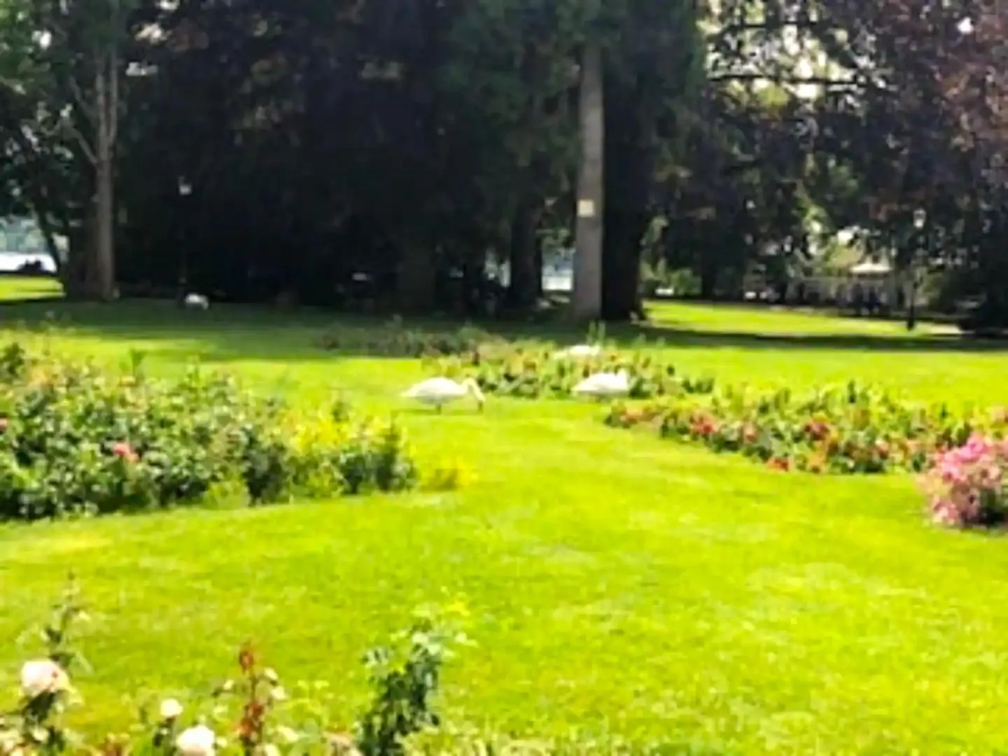 Beautiful 3 Rooms Flat - 14Percent Sales Park Montsouris In Paris Centre14Eme Direct To Airport France